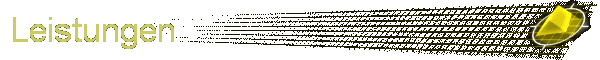 Leistungen